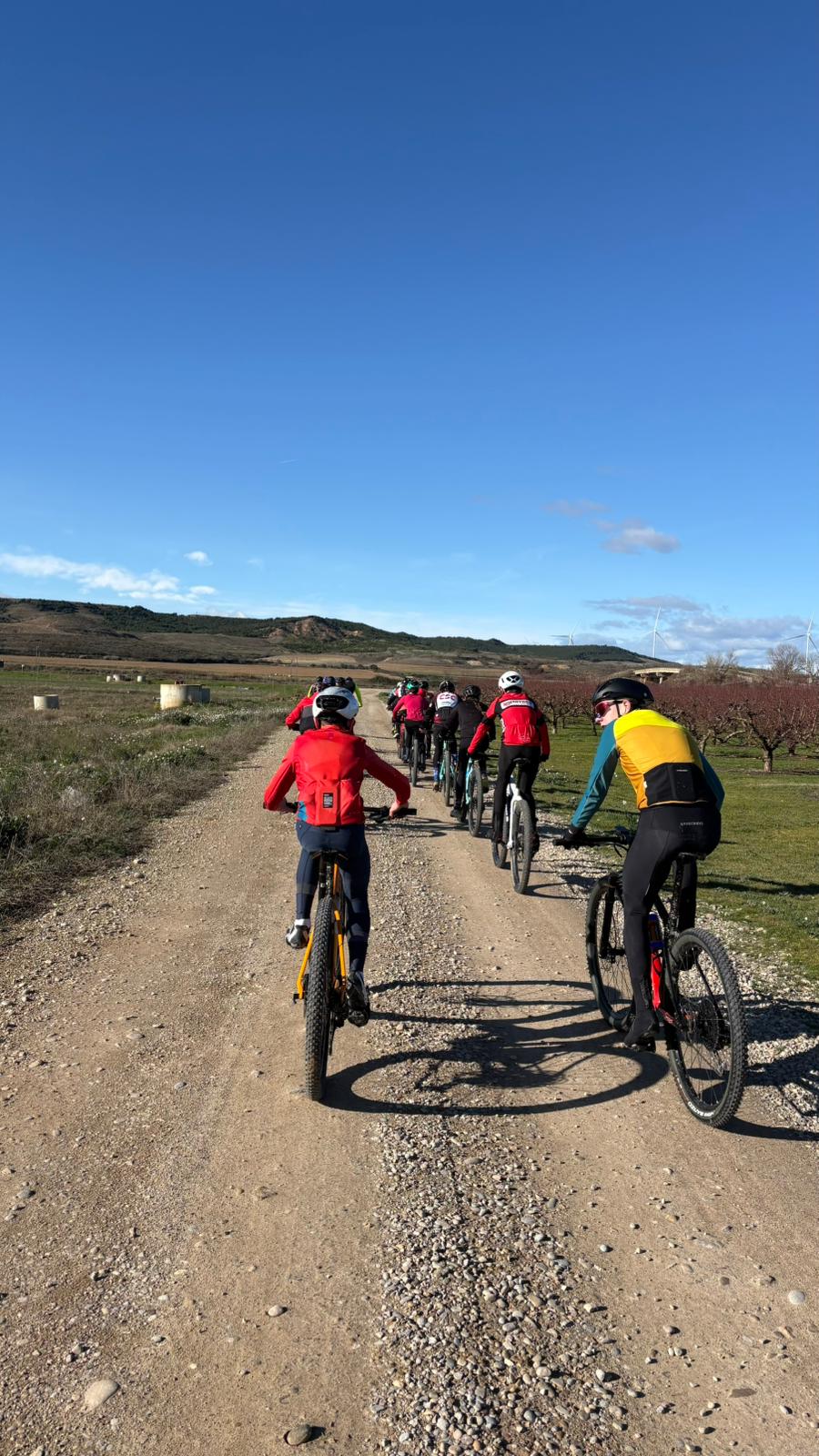 Concentraci&oacute;n Programa Perfeccionamiento FNT